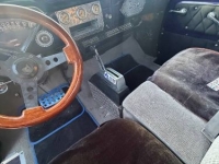 1959 Chevrolet Apache for sale in Michigan (ID-163305)