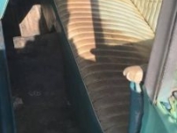 1959 Chevrolet Impala for sale in Michigan (ID-146373)