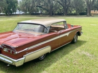 1959 Edsel Sedan for sale in Michigan (ID-131302)