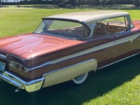 1959 Edsel Sedan for sale in Michigan (ID-142178)