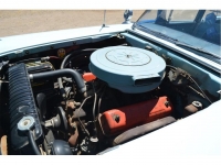 1959 Ford Custom for sale in Michigan (ID-121259)