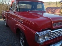 1959 Ford F100 for sale in Michigan (ID-126098)