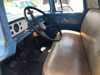 1959 Ford F100 for sale in Michigan (ID-126806)