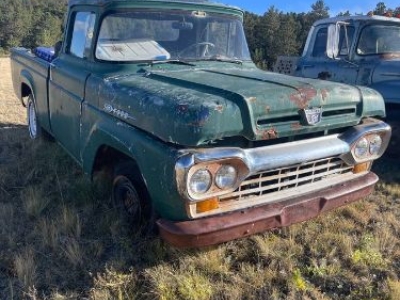 1959 Ford F100 for sale