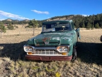 1959 Ford F100 for sale in Michigan (ID-134911)