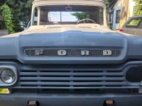 1959 Ford F100 for sale in Michigan (ID-144119)