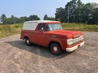 1959 Ford F100 for sale in Michigan (ID-145991)