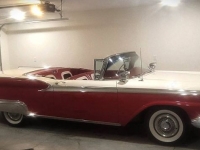 1959 Ford Galaxie 500 for sale in Michigan (ID-106660)