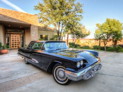 1959 Ford Thunderbird for sale