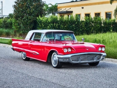 1959 Ford Thunderbird for sale