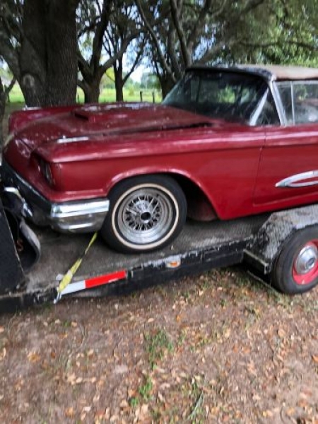 1959 Ford Thunderbird for sale in Michigan (ID-117980) 1959 Ford Thunderbird for sale in Michigan (ID-117980)