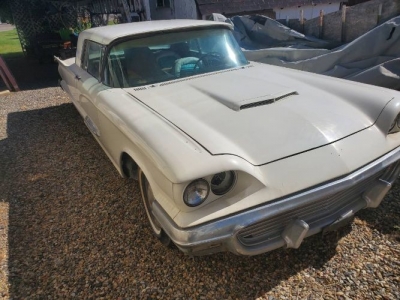 1959 Ford Thunderbird for sale