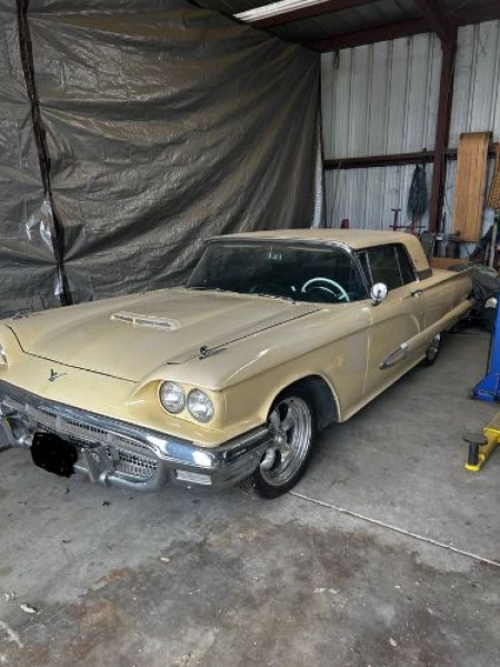 1959 Ford Thunderbird for sale in Michigan (ID-129979)