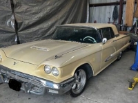 1959 Ford Thunderbird for sale in Michigan (ID-129979)