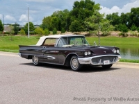 1959 Ford Thunderbird for sale in Riverhead, New York (ID-131189)