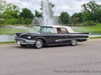 1959 Ford Thunderbird for sale in Riverhead, New York (ID-131189)