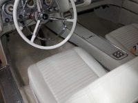 1959 Ford Thunderbird for sale (ID-102664)