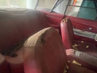 1959 Ford Thunderbird for sale in Michigan (ID-146160)