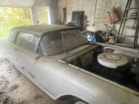 1959 Ford Thunderbird for sale in Michigan (ID-146160)