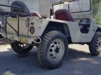 1959 Jeep Willys for sale in Michigan (ID-125302)
