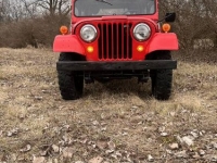 1959 Willys Jeep for sale in Michigan (ID-126296)