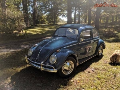 1960 Volkswagen Beetle for sale