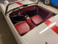 1960 Austin-Healey Bugeye Sprite for sale in Michigan (ID-163457)