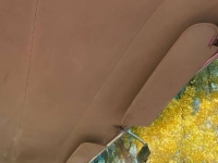 1960 Buick Invicta for sale in Michigan (ID-123541)