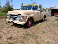 1960 Ford F100 for sale in Michigan (ID-131067)