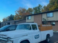 1960 Ford F100 for sale in Michigan (ID-144457)
