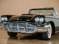 1960 Ford Thunderbird for sale in Michigan (ID-135481)
