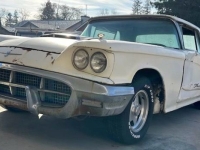 1960 Ford Thunderbird for sale in Michigan (ID-138603)