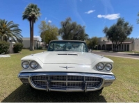 1960 Ford Thunderbird for sale in Michigan (ID-142109)