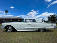 1960 Ford Thunderbird for sale in Michigan (ID-155140)