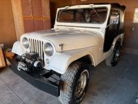 1960 Jeep Willys for sale in Michigan (ID-125330)