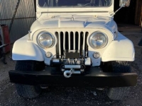 1960 Jeep Willys for sale in Michigan (ID-125330)