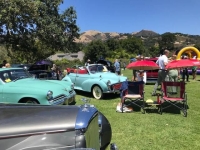 1960 Morris Minor for sale in Michigan (ID-132854)