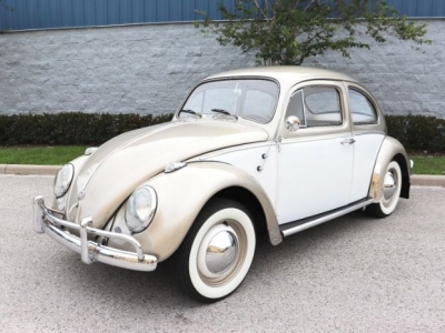 1961 Volkswagen Beetle for sale