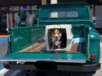 1961 Chevrolet Apache for sale in Michigan (ID-137602)