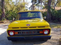 1961 Ford F100 for sale in Michigan (ID-161017)