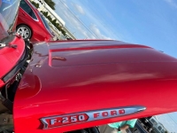 1961 Ford F250 for sale in Michigan (ID-126548)