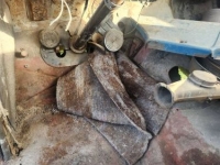 1961 Jeep CJ2A for sale in Michigan (ID-154884)