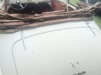 1961 Morris Minor for sale in Michigan (ID-136012)