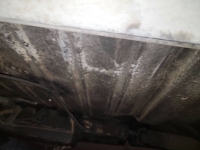 1961 Oldsmobile Dynamic 88 for sale in Michigan (ID-126375)