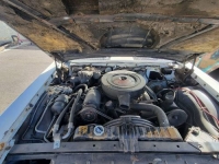 1961 Oldsmobile Dynamic 88 for sale in Michigan (ID-126375)