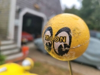 1961 Volkswagen Dune Buggy for sale in Michigan (ID-142249)