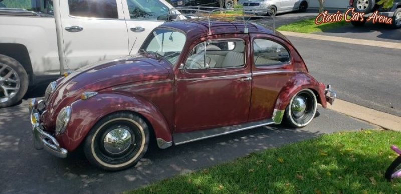 1962 Volkswagen Beetle for sale in Michigan (ID-68367)