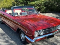 1962 Buick Skylark for sale in Michigan (ID-162503)
