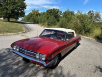 1962 Buick Skylark for sale in Michigan (ID-162503)