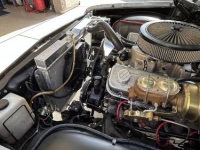 1962 Chevrolet Biscayne for sale in Michigan (ID-141075)
